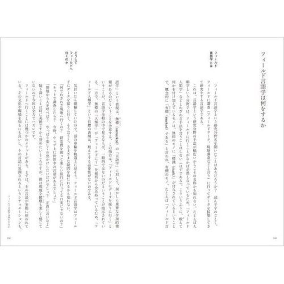 現地嫌いなフィールド言語学者、かく語りき。