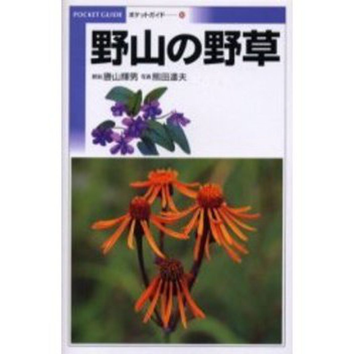 野山の野草