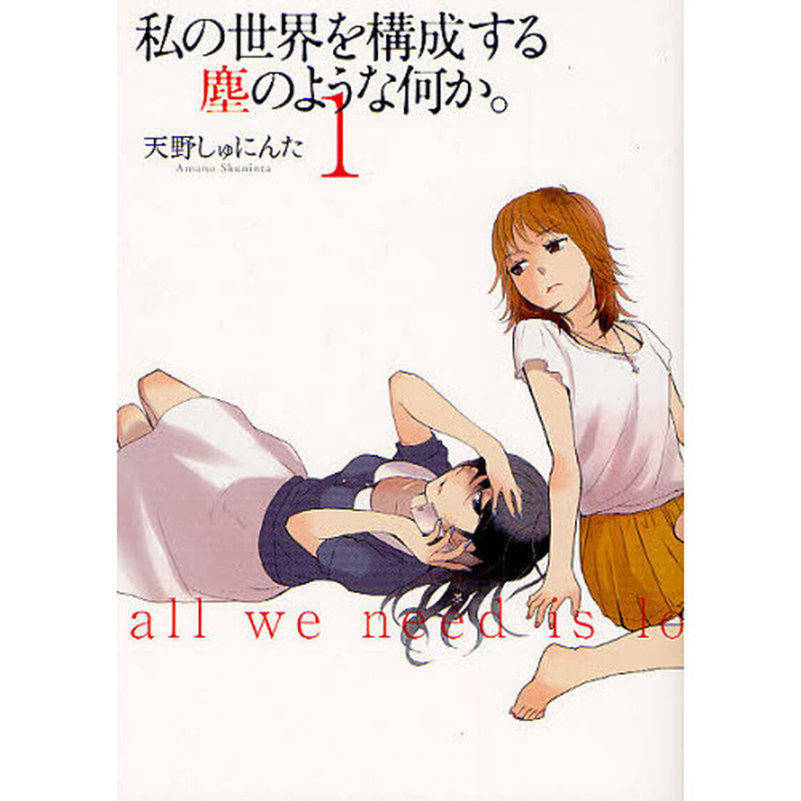 私の世界を構成する塵のような何か。　１