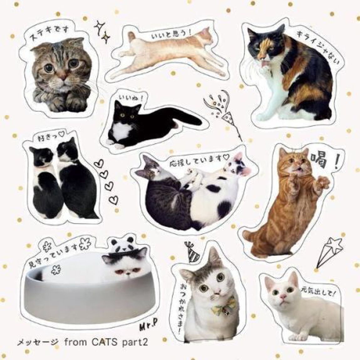 ねこいっぱいシールブック　ＳＮＳで人気の有名ねこさんだらけ、応援ワード編！