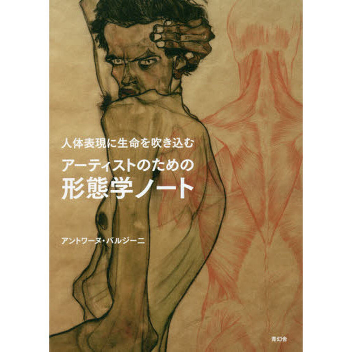 人体表現に生命を吹き込むアーティストのための形態学ノート