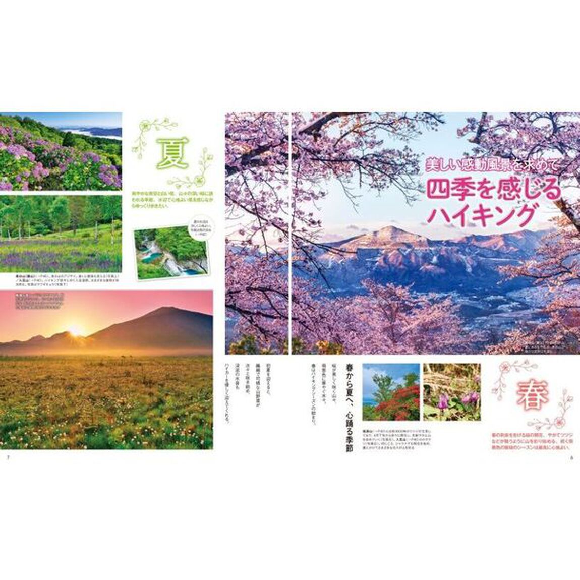 日帰りハイク関東　〔２０２４〕