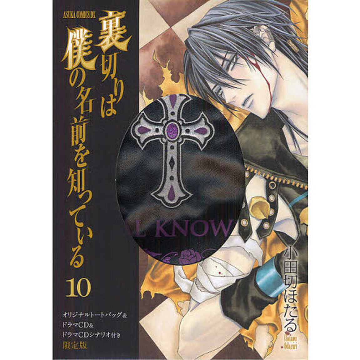 裏切りは僕の名前を知っている　１０　限定版