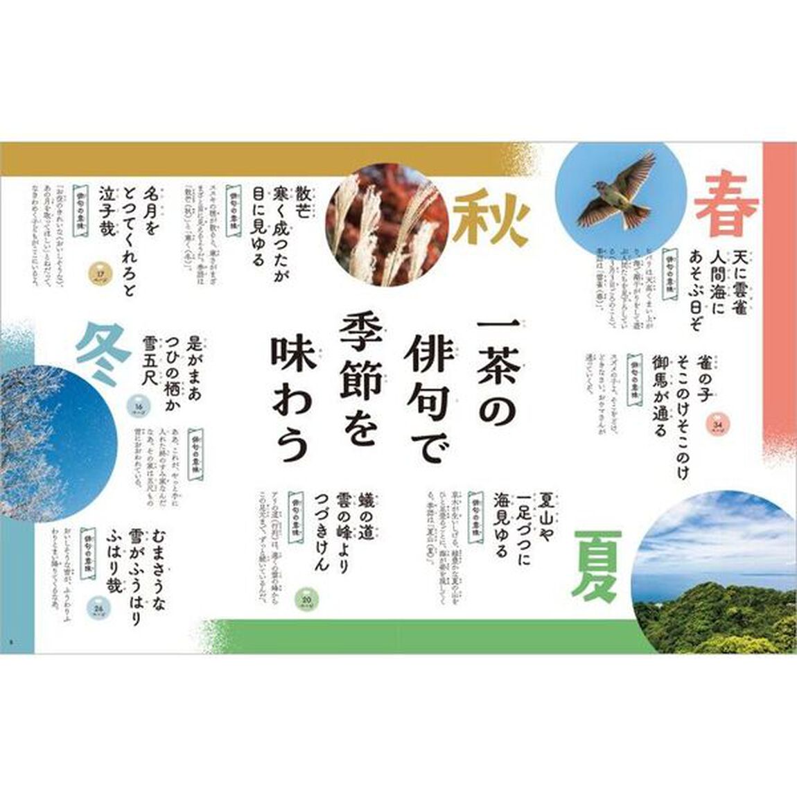 ビジュアルでつかむ！俳句の達人たち　〔３〕「小林一茶」