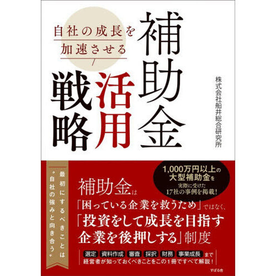 自社の成長を加速させる補助金活用戦略