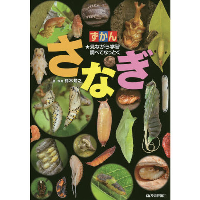 ずかんさなぎ　見ながら学習調べてなっとく