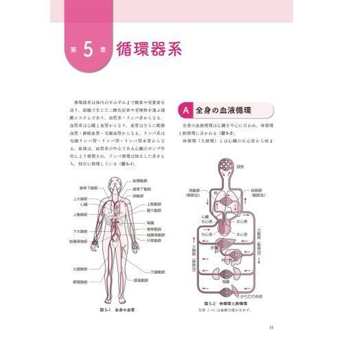 学生の声を聞いてつくった解剖生理学