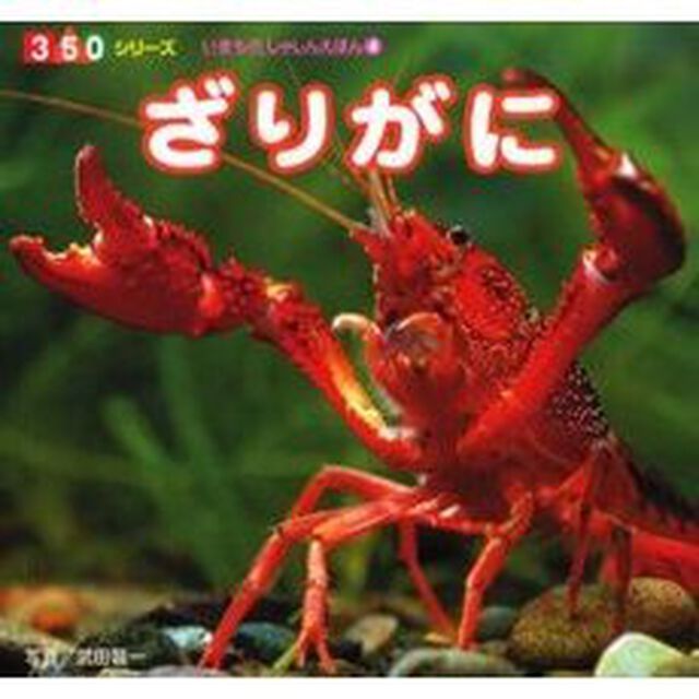 ざりがに