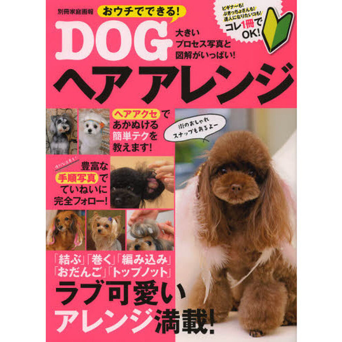 おウチでできる！ＤＯＧヘアアレンジ　ラブ可愛いアレンジ満載！