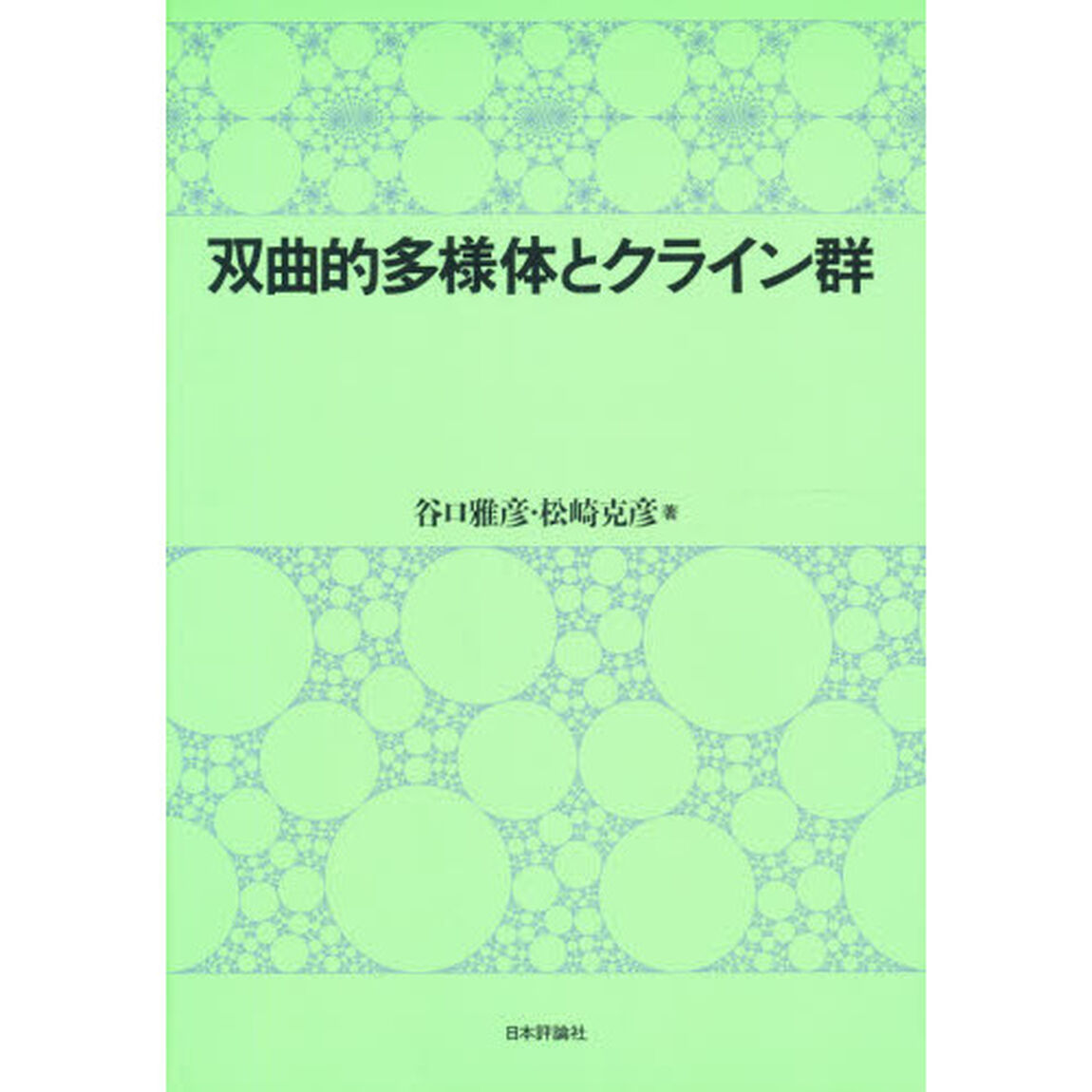 双曲的多様体とクライン群