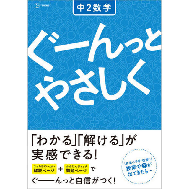 ぐーんっとやさしく中２数学