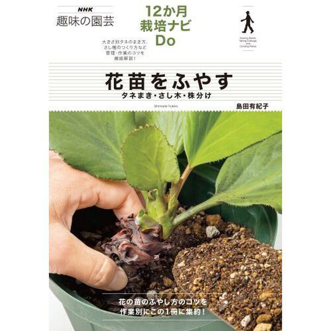 花苗をふやす　タネまき・さし木・株分け