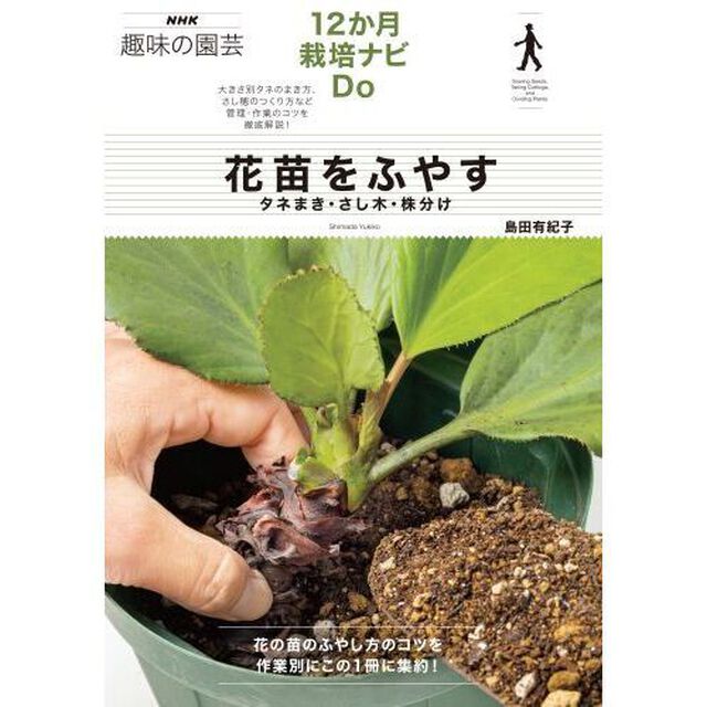 花苗をふやす　タネまき・さし木・株分け