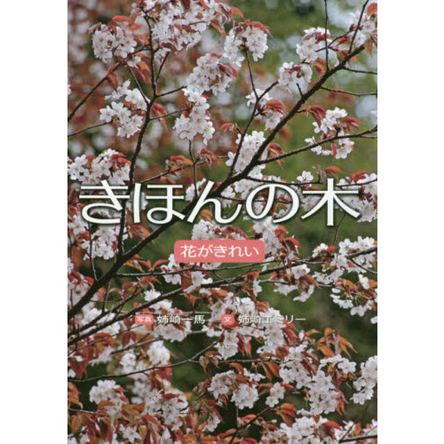 きほんの木　花がきれい