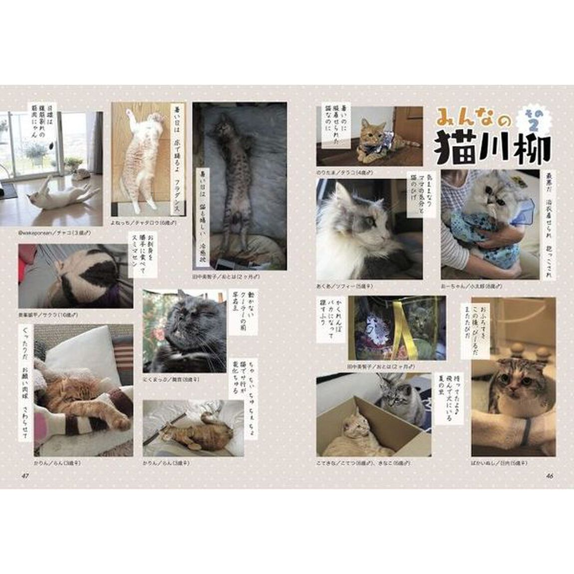 まるっと1年猫川柳 (タツミムック)