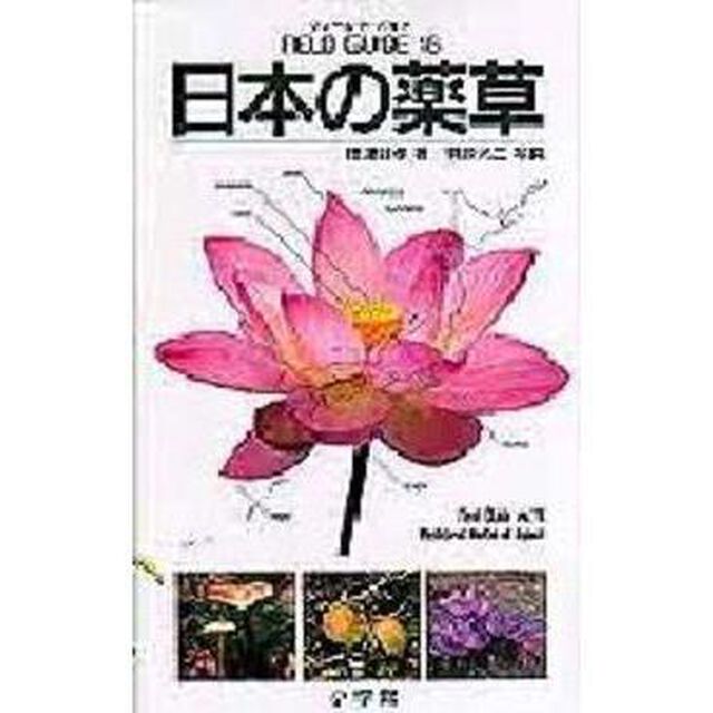 日本の薬草