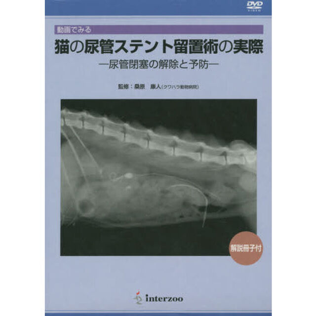 猫の尿管ステント留置術の実際　ＤＶＤ