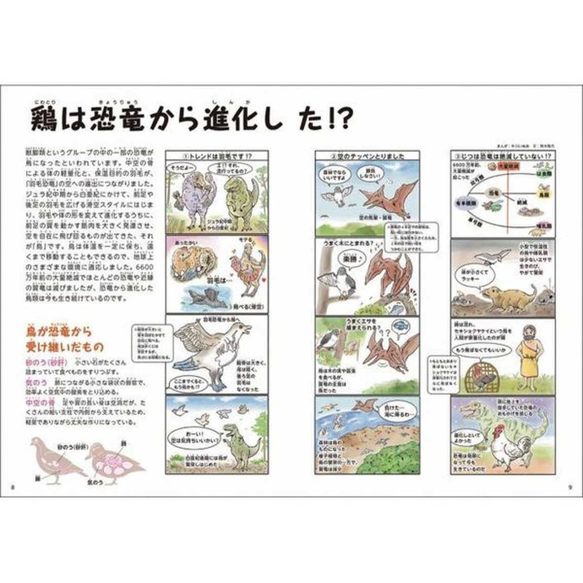 豚・鶏の教え　たくましく育つ