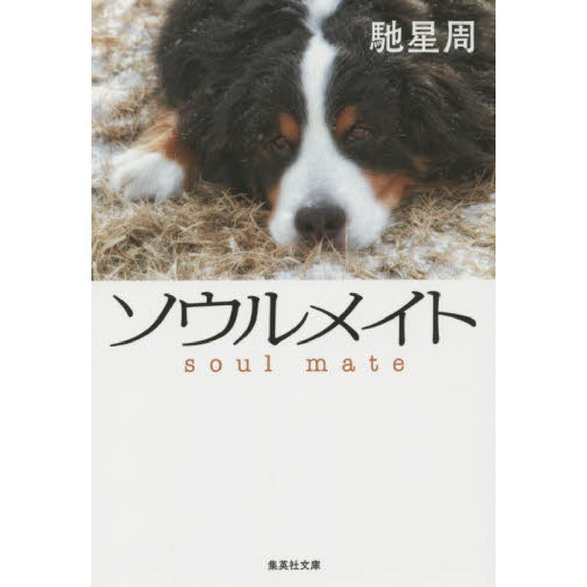 ソウルメイト