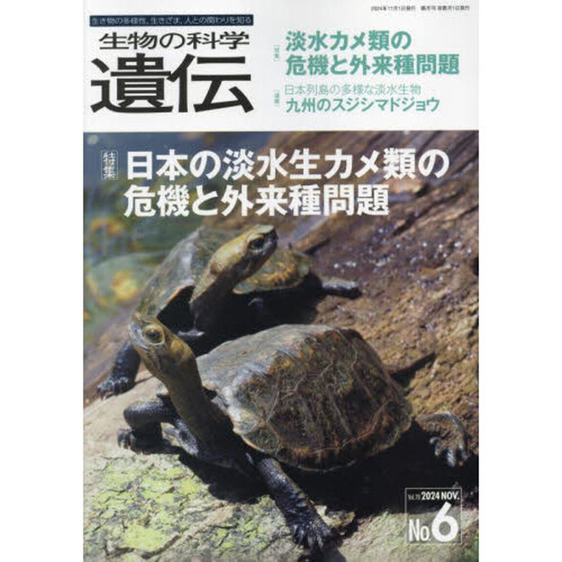 生物の科学遺伝　Ｖｏｌ．７８Ｎｏ．６（２０２４ＮＯＶ．）「日本の淡水生カメ類の危機と外来種問題」