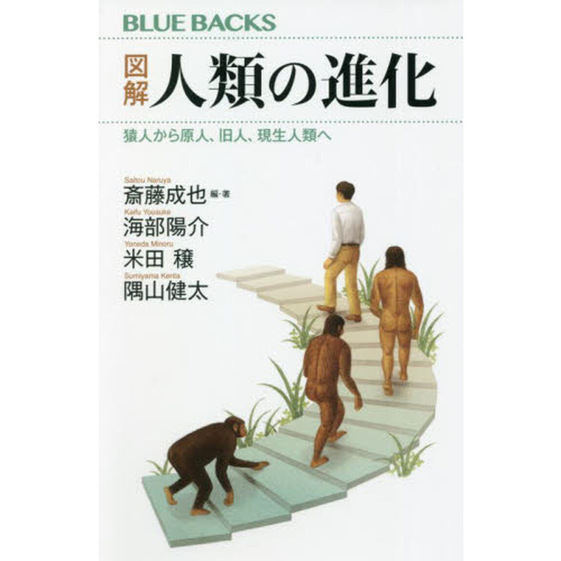 図解人類の進化　猿人から原人、旧人、現生人類へ