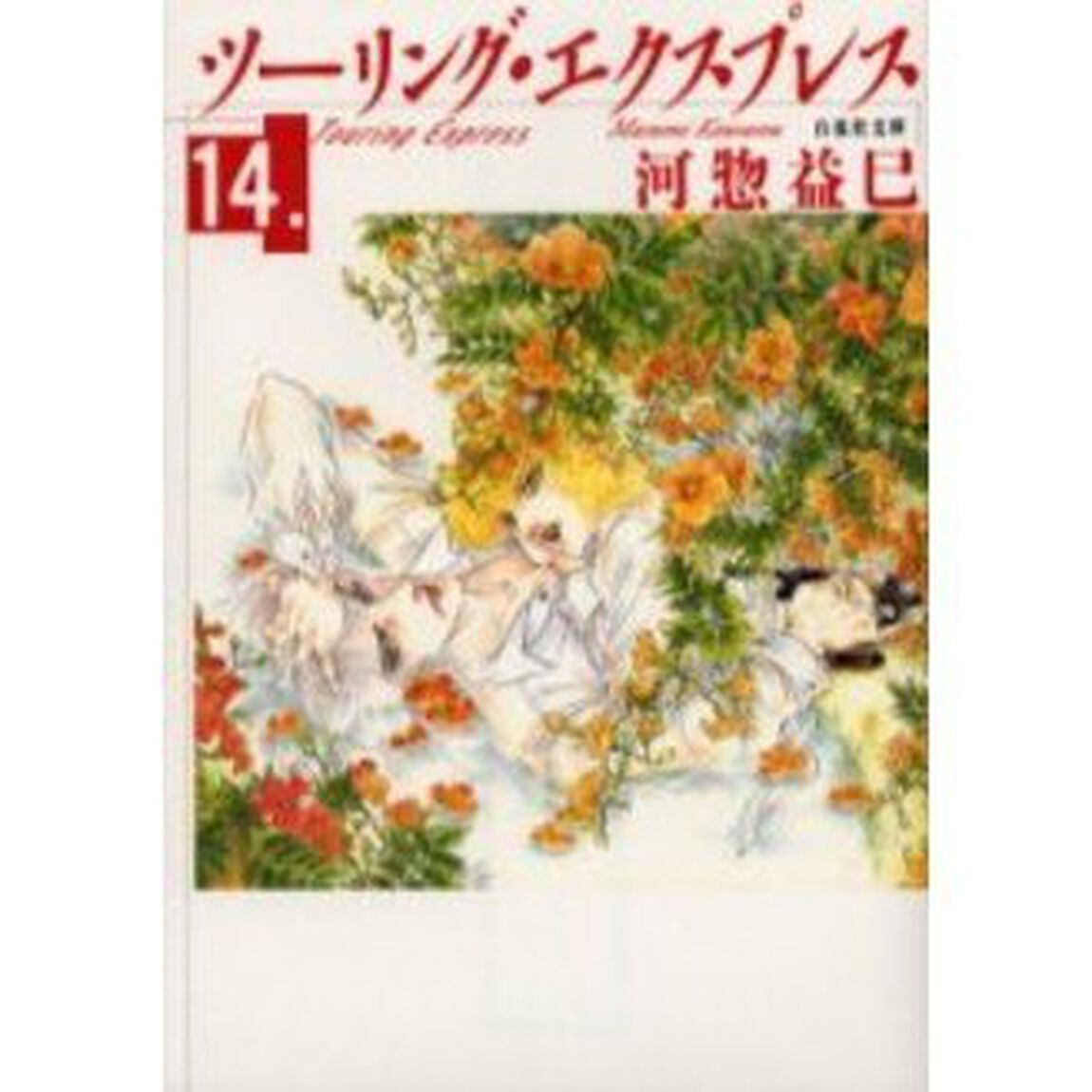 ツーリング・エクスプレス　第１４巻