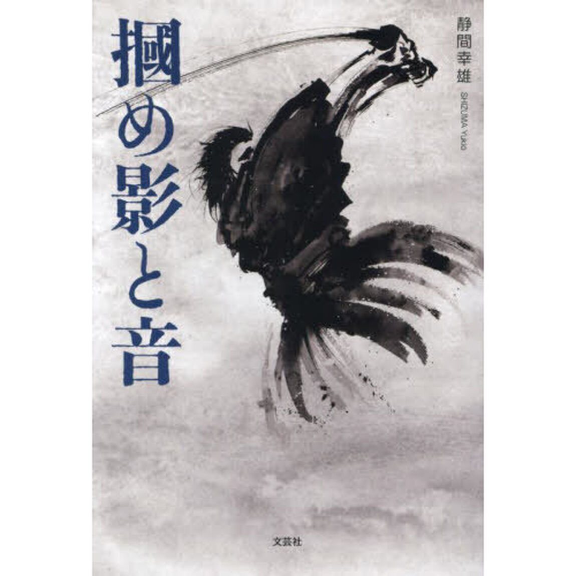 掴め影と音