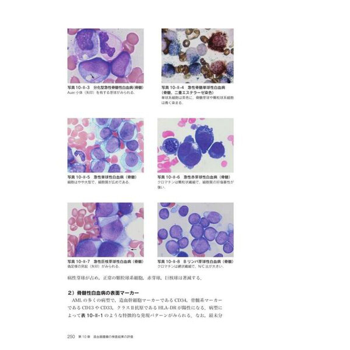 血液検査学「第３版」