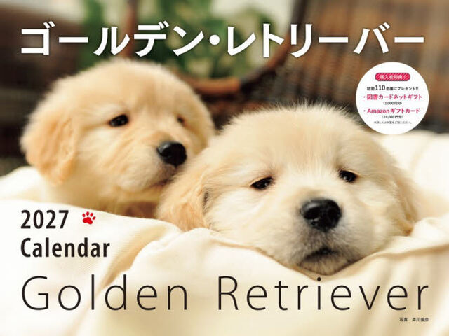 &rsquo;２７　カレンダーワイド判ゴールデン・レ