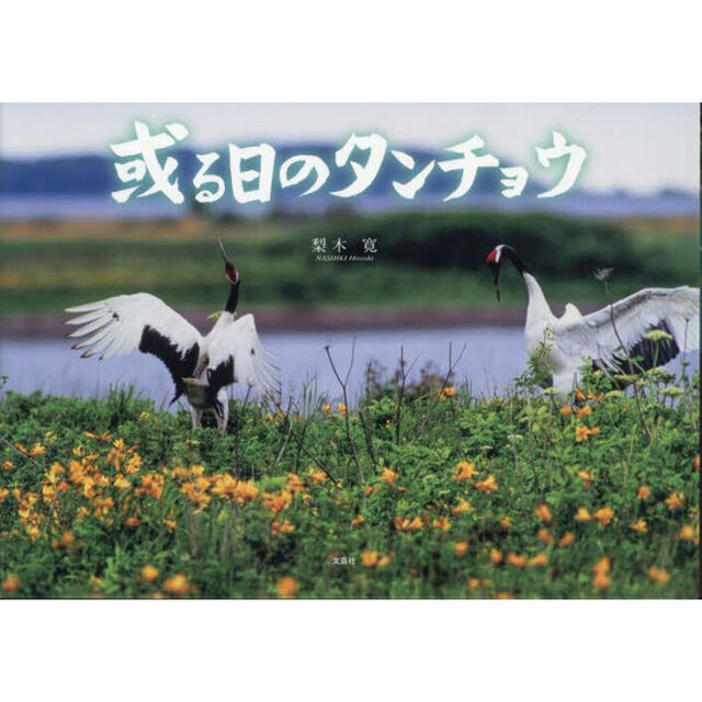 或る日のタンチョウ