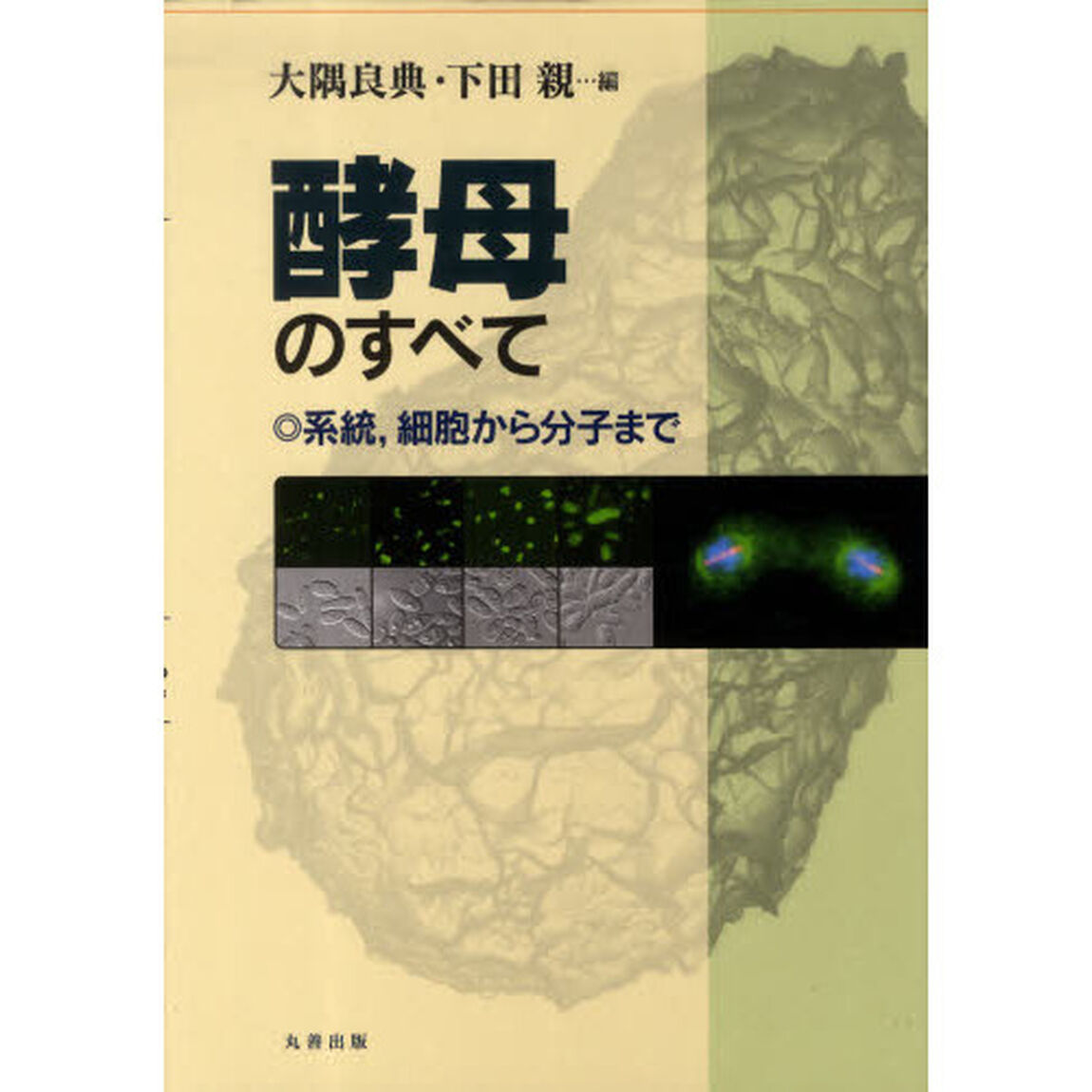 酵母のすべて－系統，細胞から分子まで－