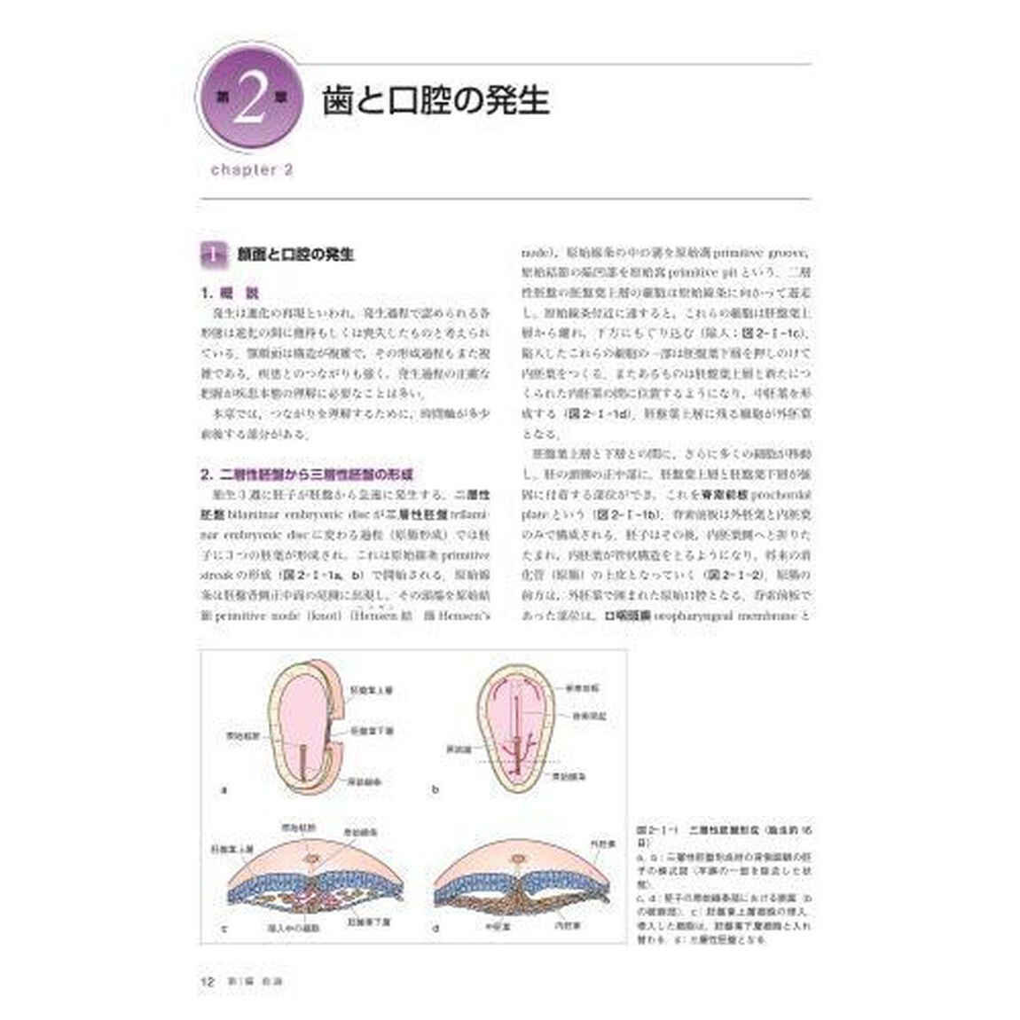 口腔組織・発生学「第３版」