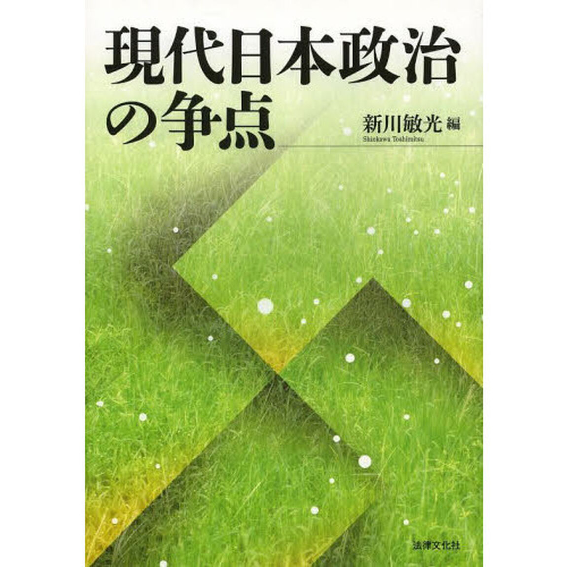 現代日本政治の争点
