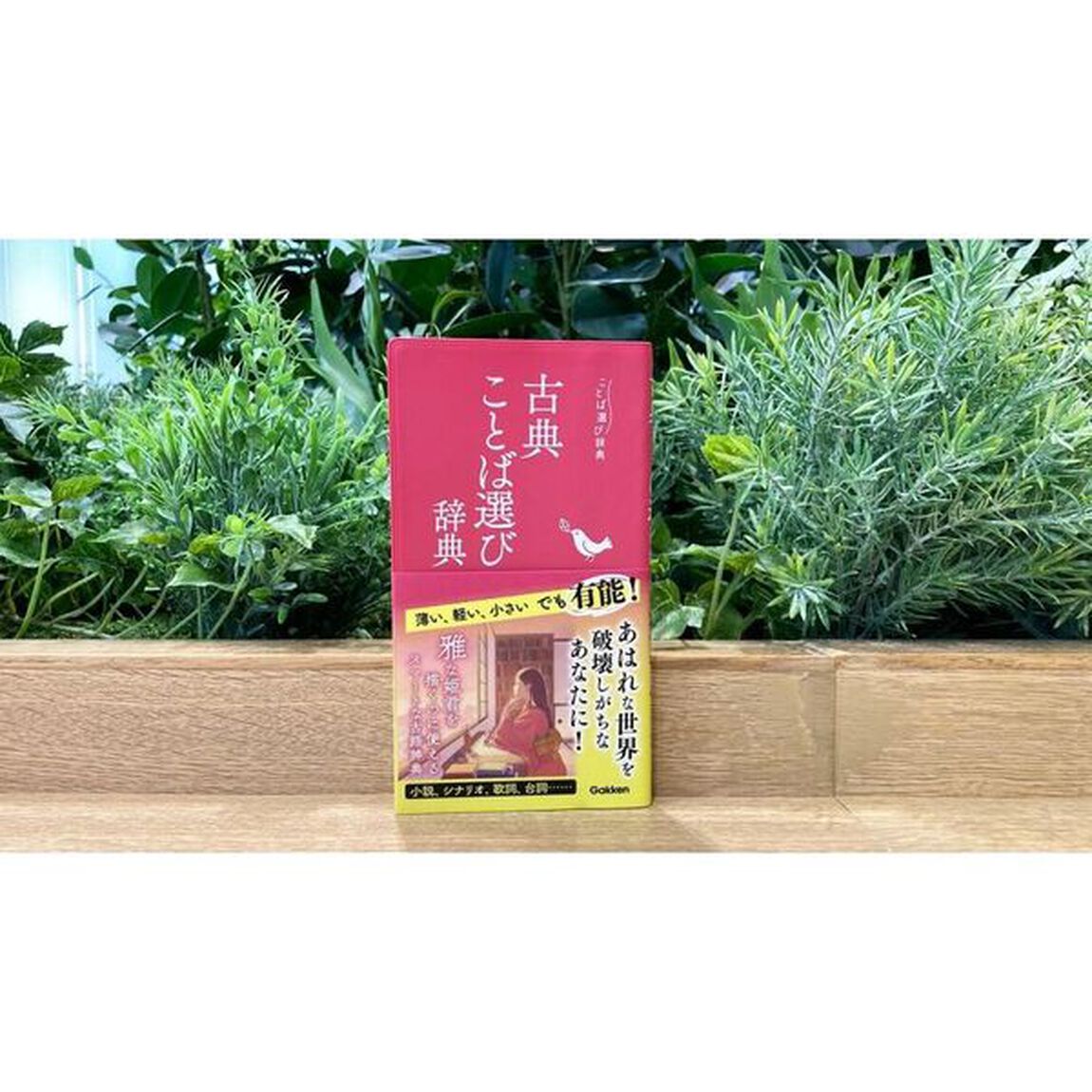 古典ことば選び辞典