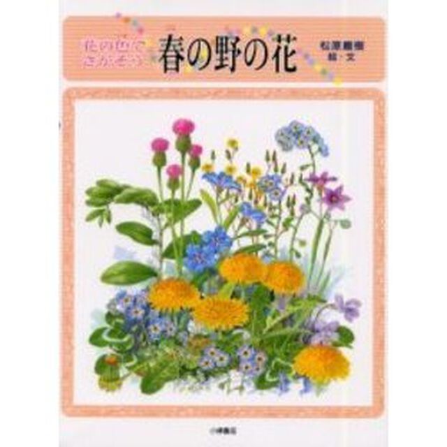 花の色でさがそう春の野の花