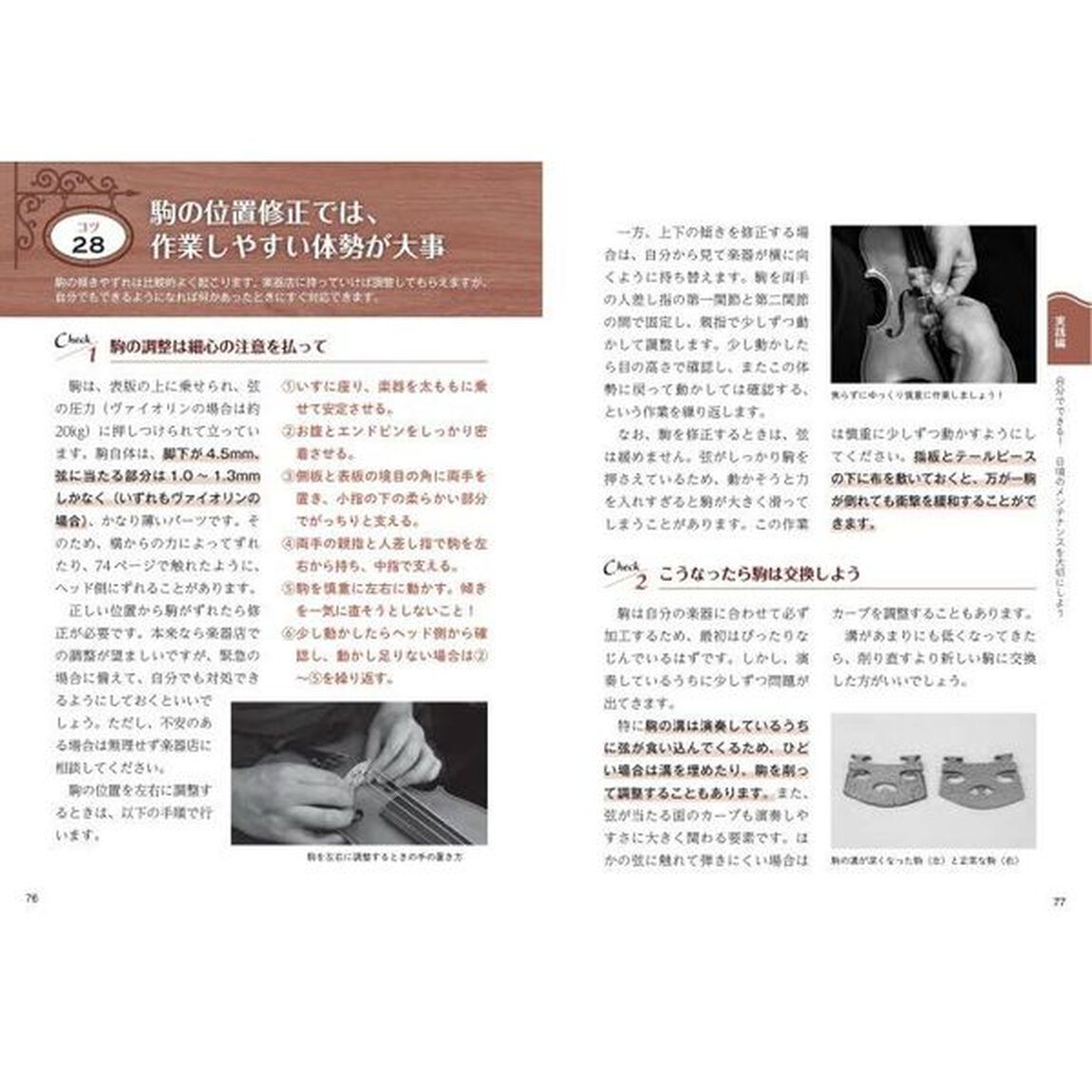 弦楽器メンテナンス完全ガイド　美しい音色を奏でるためのお手入れのコツ５０