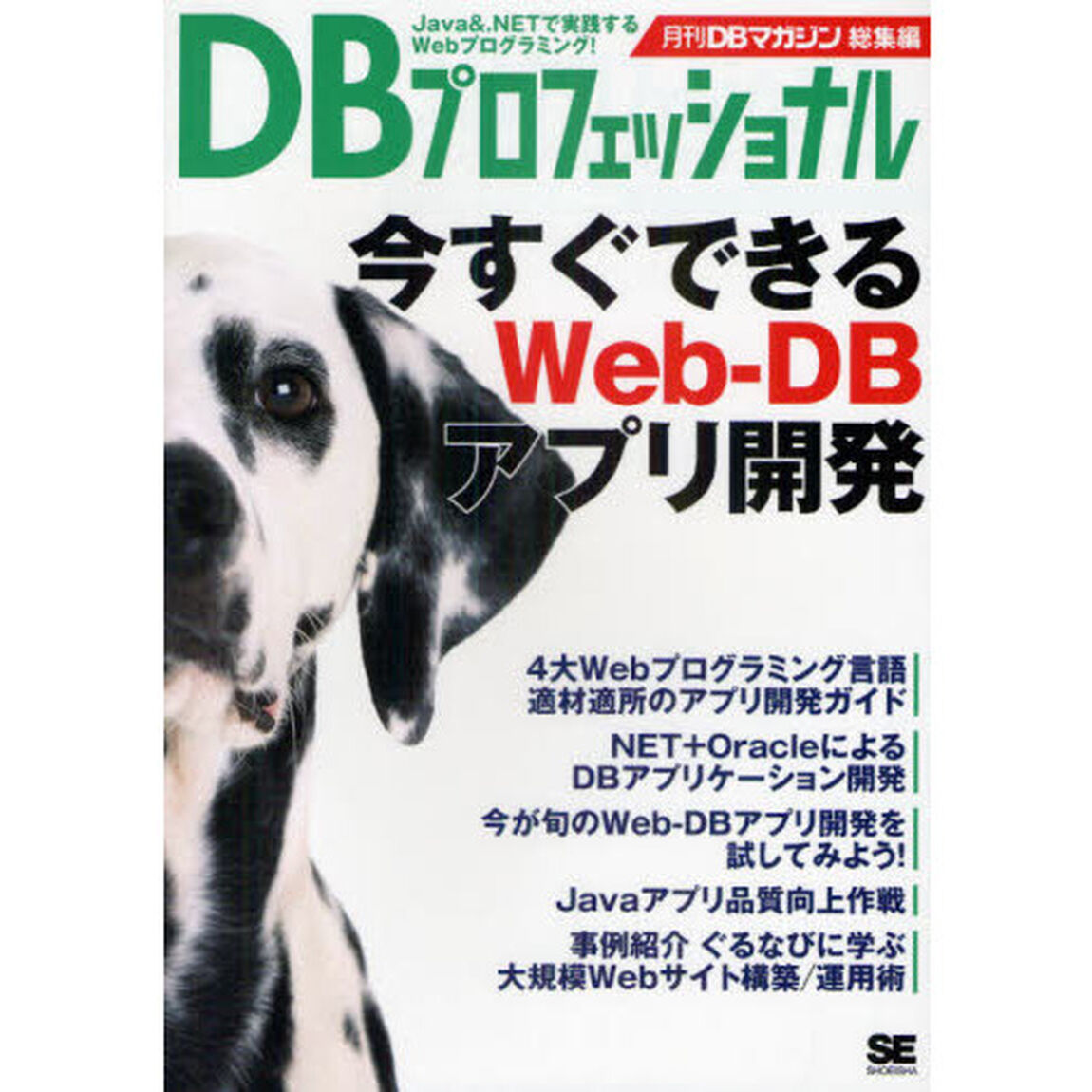 ＤＢプロフェッショナル　今すぐできるＷｅｂ‐ＤＢアプリ開発　月刊ＤＢマガジン総集編