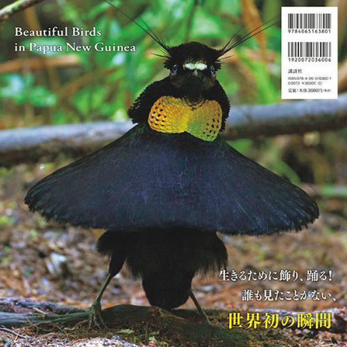 ＬＡＳＴ　ＰＡＲＡＤＩＳＥ　精霊の踊る森