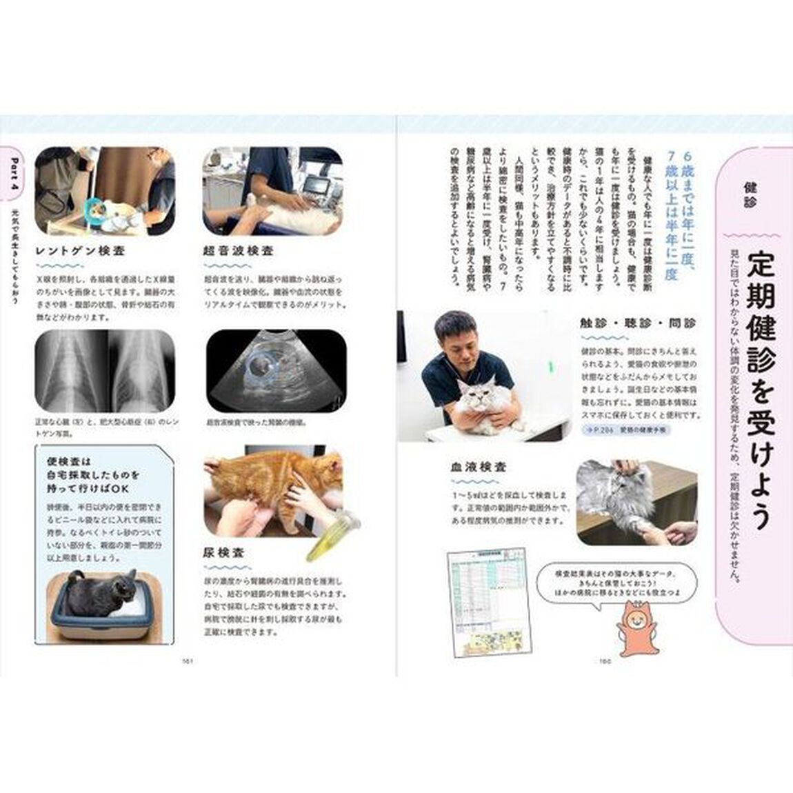 猫とくらそう　世界一わかりやすい猫飼いスタートブック