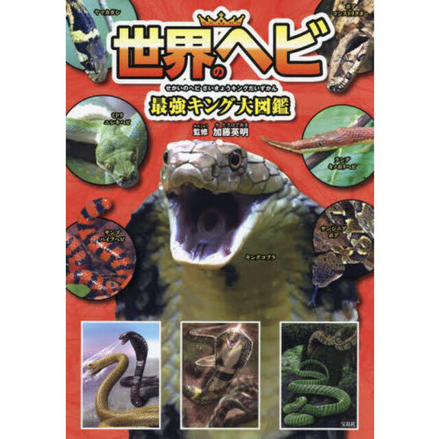 世界のヘビ最強キング大図鑑