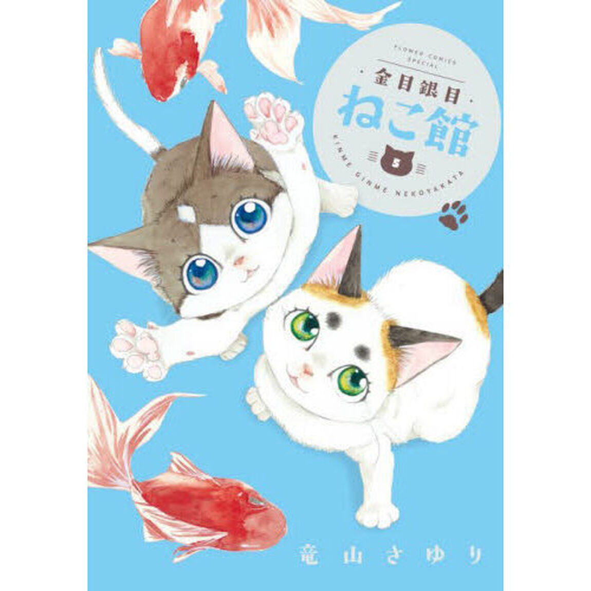 金目銀目ねこ館　５