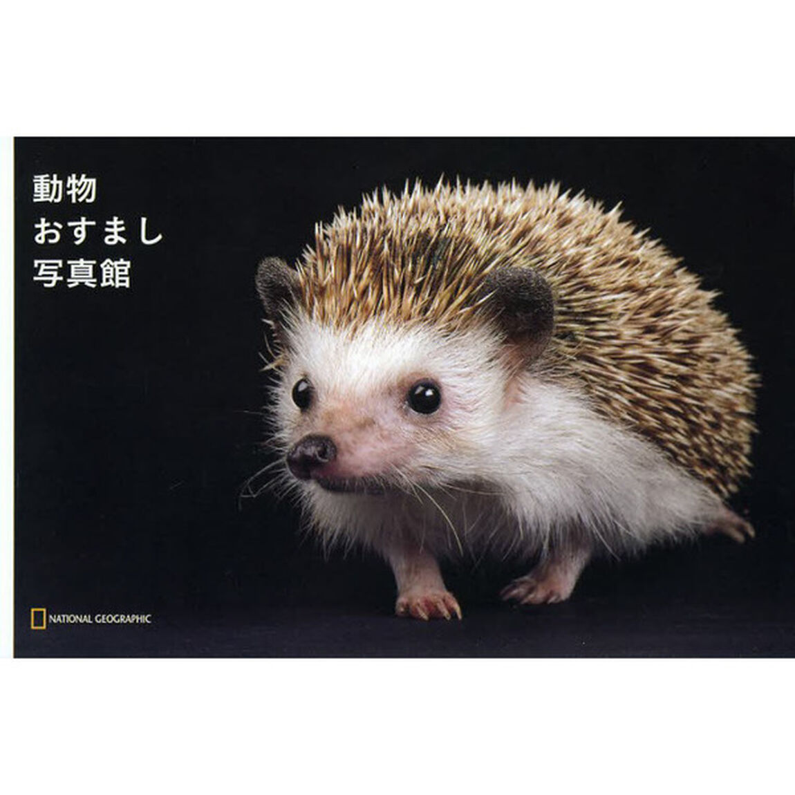 ナショジオ ワンダーフォトブック 動物おすまし写真館