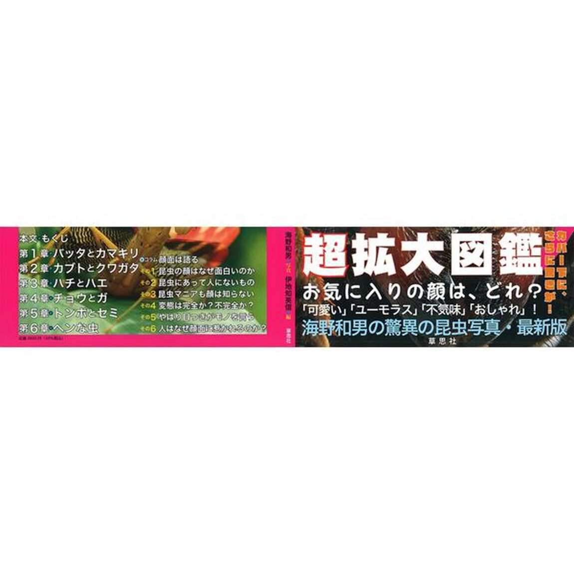 昆虫顔面超拡大図鑑