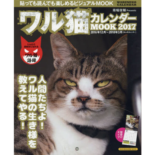 ワル猫カレンダーＭＯＯＫ　貼っても読んでも楽しめるビジュアルＭＯＯＫ　２０１７