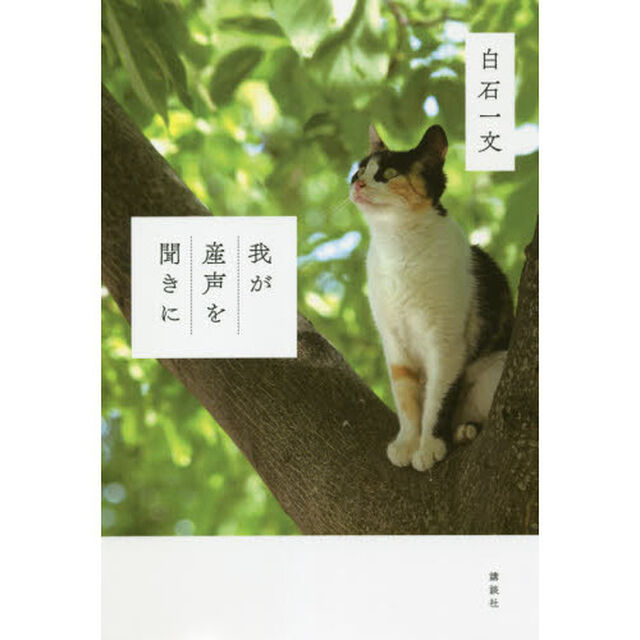 我が産声を聞きに