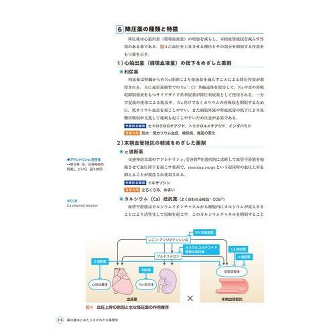 薬の基本とはたらきがわかる薬理学