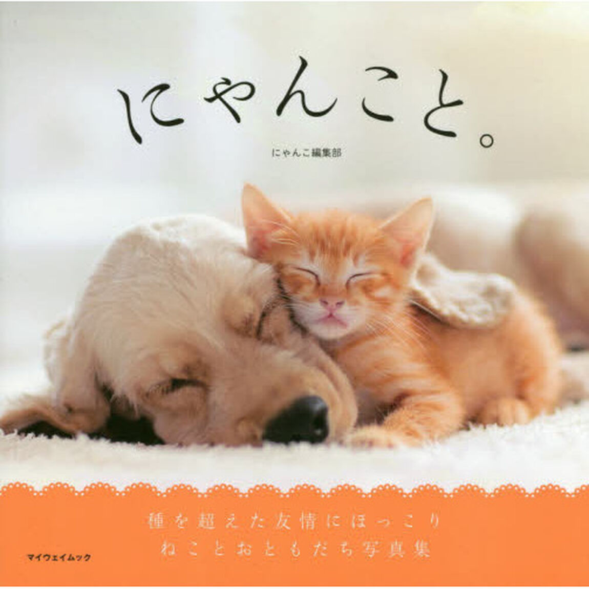 にゃんこと。