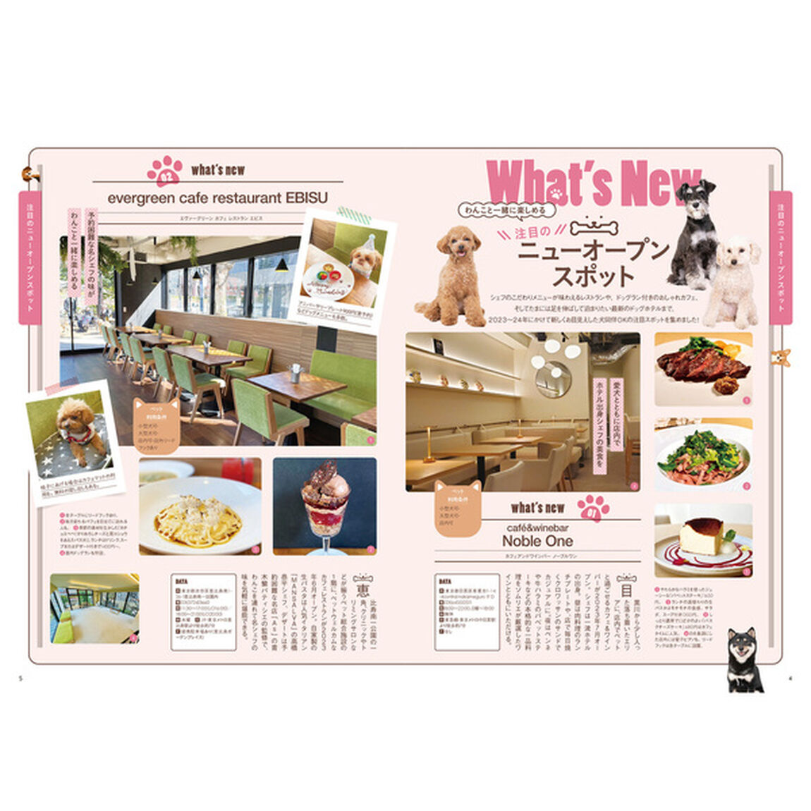 わんことおでかけ365日 2024-2025 首都圏版