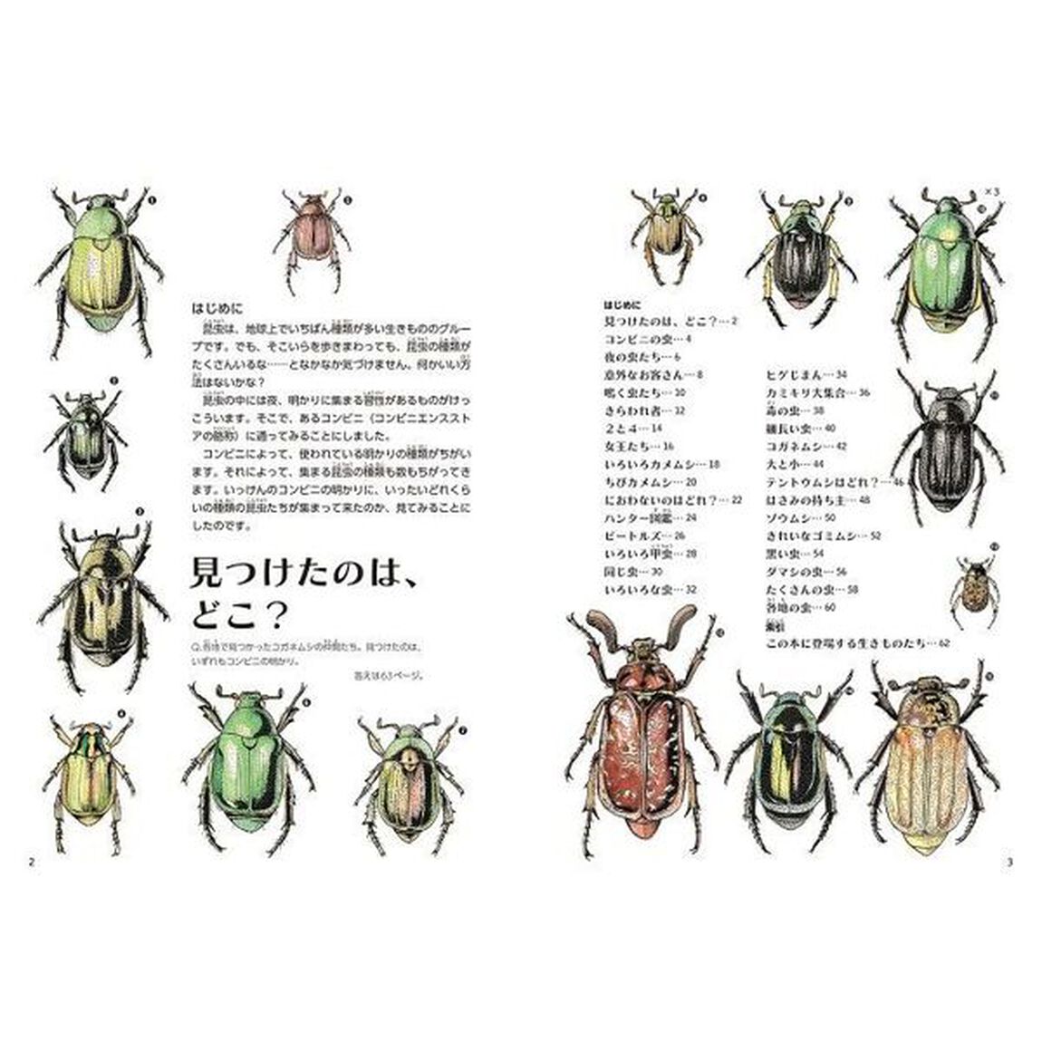 コンビニ好きな虫のふしぎ　ゲッチョ先生の夜の虫コレクション