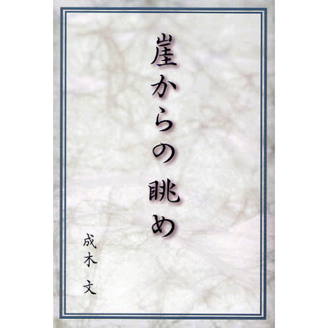 崖からの眺め